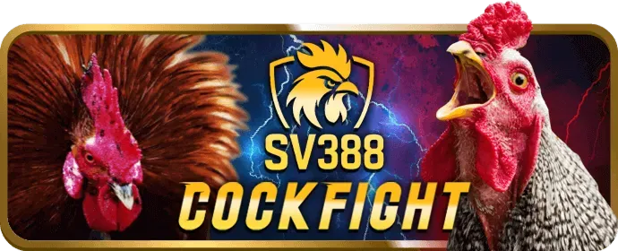 Ưu đãi nạp lại và hoàn trả hàng ngày 888clb Win